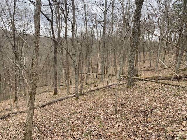 25. Land for Sale at Madison, IN 47250
