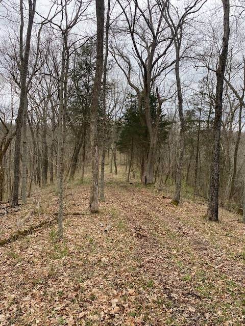 37. Land for Sale at Madison, IN 47250