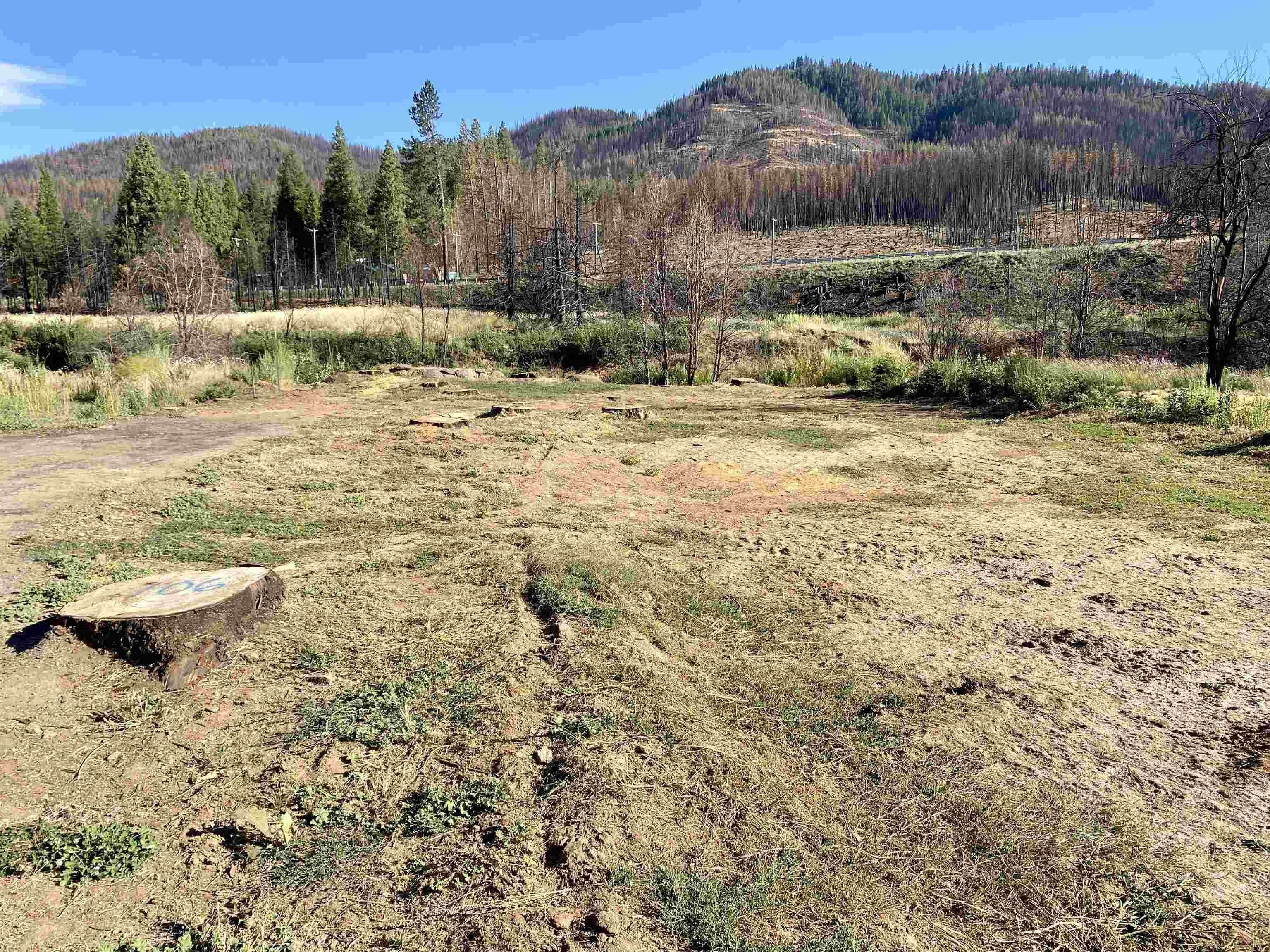 6. Land for Sale at Greenville, CA 95947