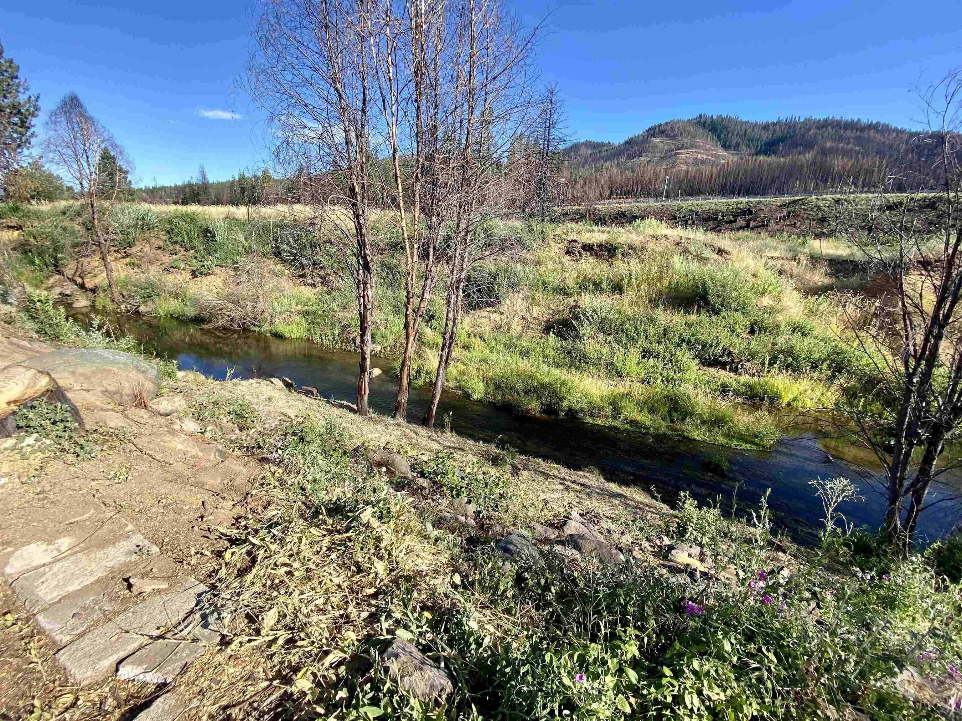 Land for Sale at Greenville, CA 95947