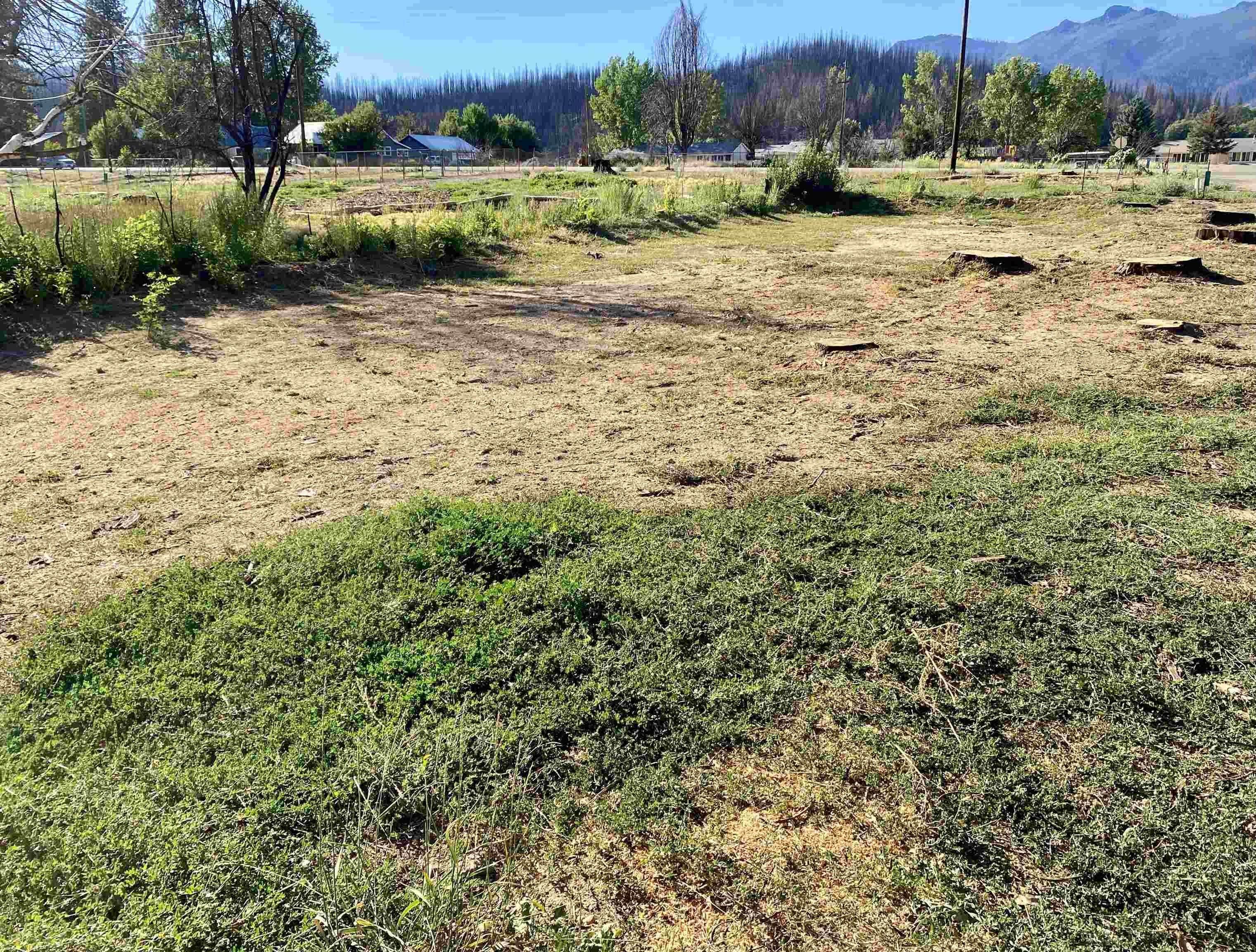 4. Land for Sale at Greenville, CA 95947