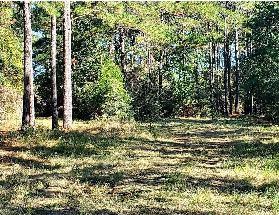 11. Land for Sale at Chester, TX 75936