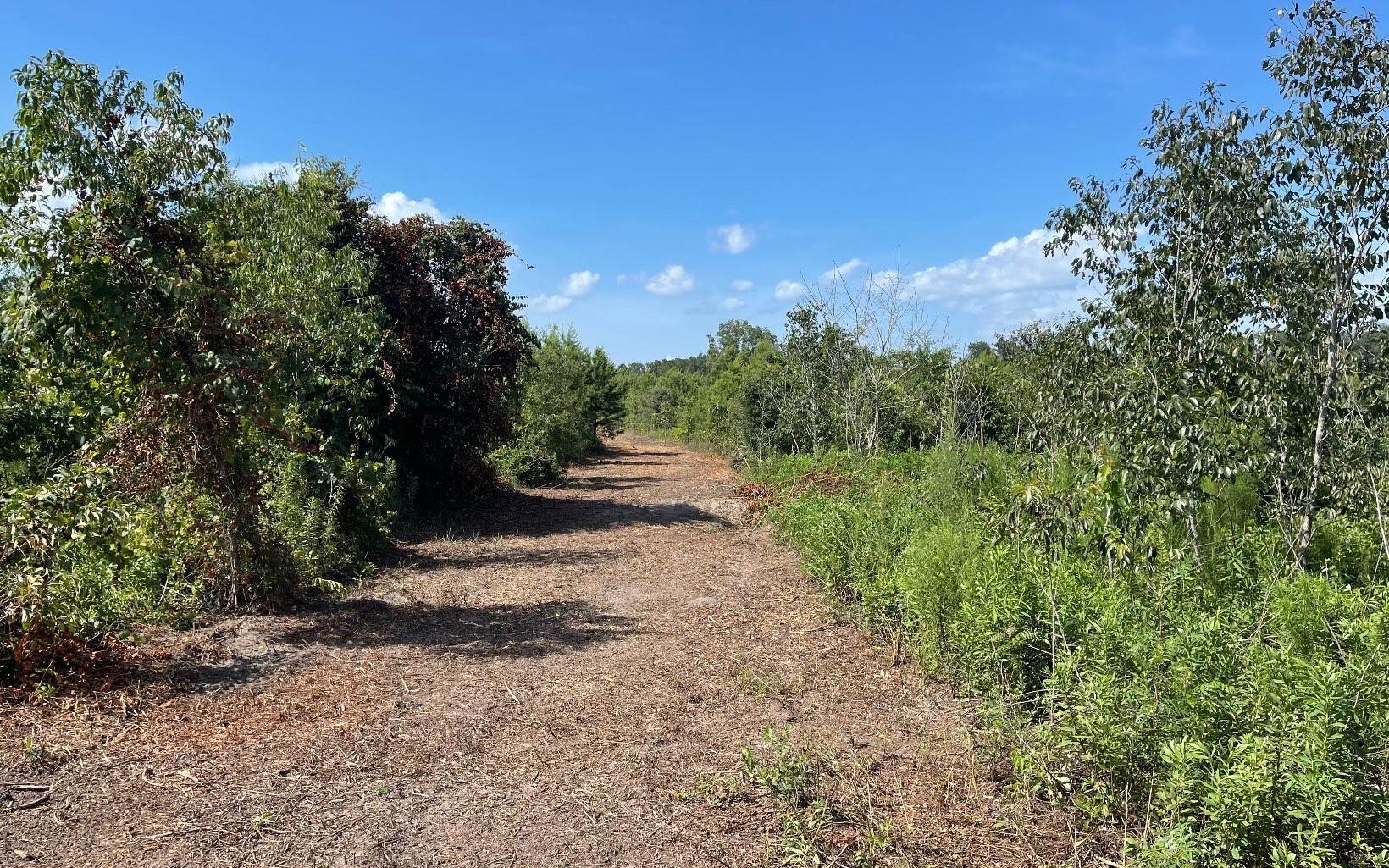 1. Farm / Agriculture for Sale at Madison, FL 32340