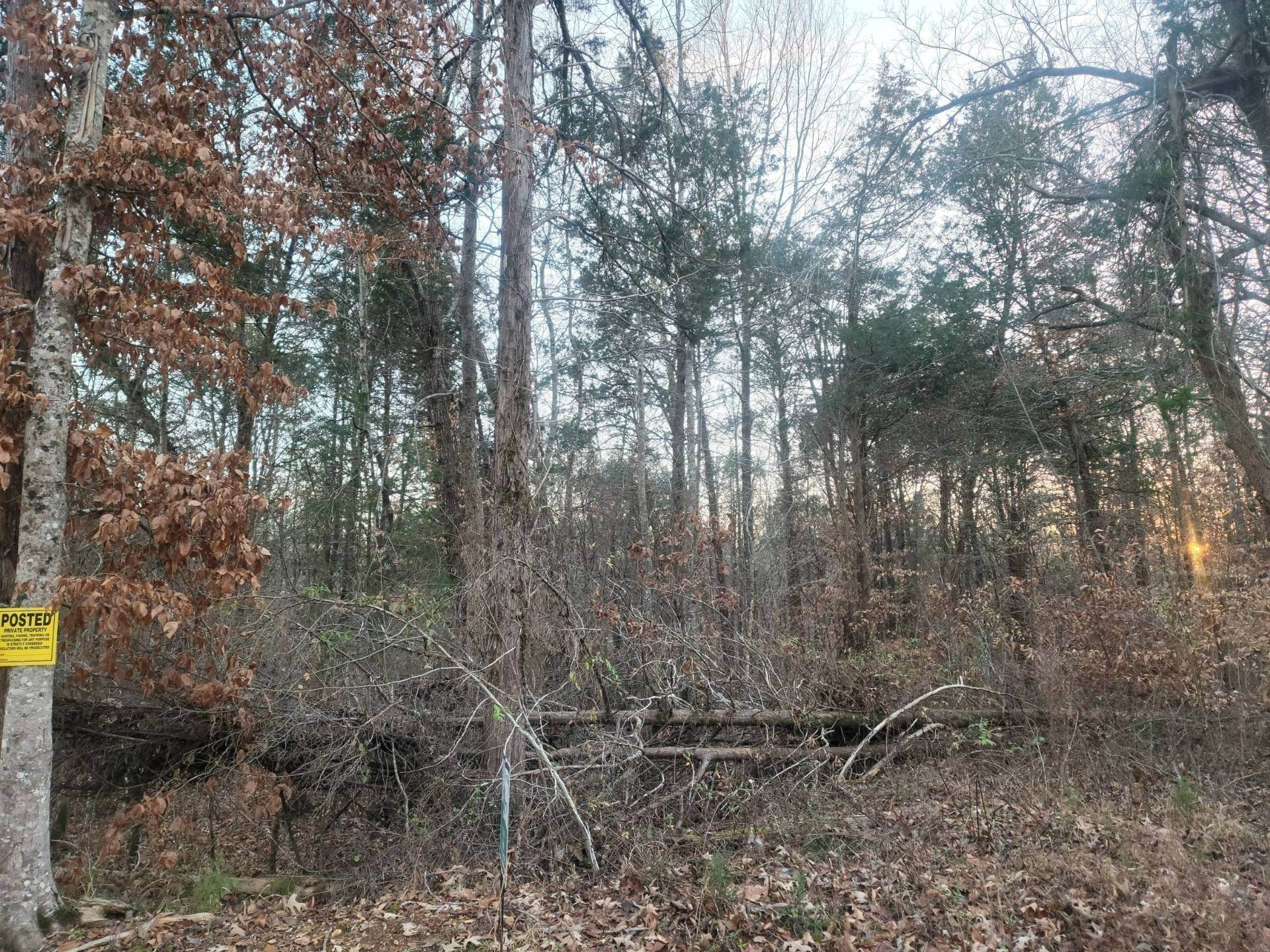 2. Land for Sale at Clifton, TN 38325