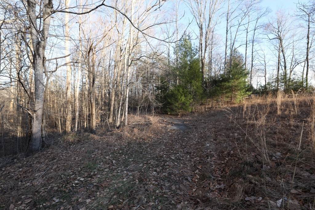 2. Land for Sale at Monroe, TN 38573