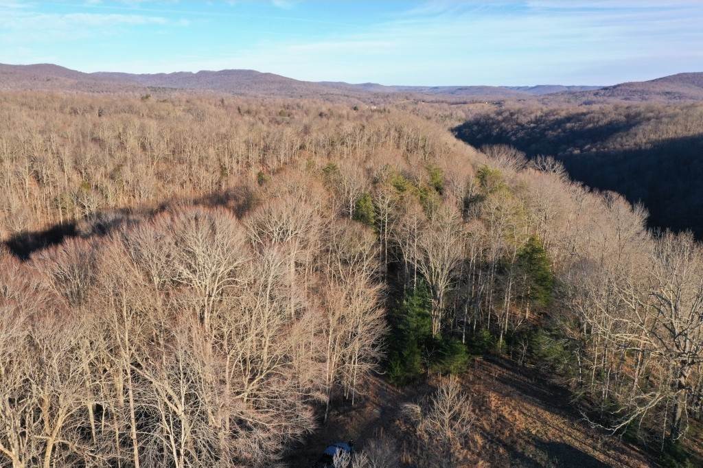 13. Land for Sale at Monroe, TN 38573