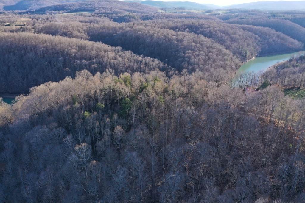 9. Land for Sale at Monroe, TN 38573