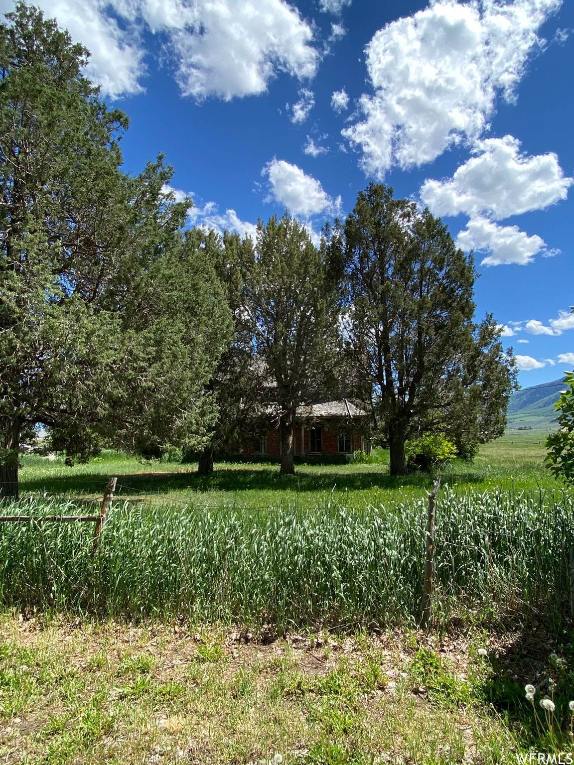 5. Farm / Agriculture for Sale at Clifton, ID 83228
