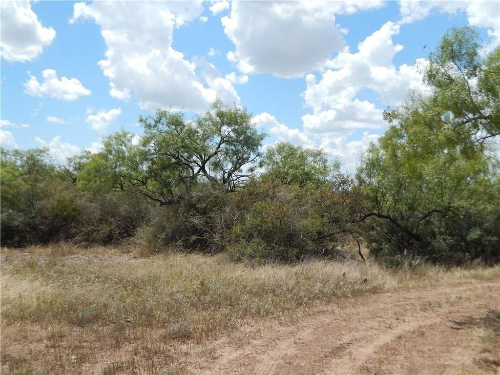 4. Ranch for Sale at Lohn, TX 76852