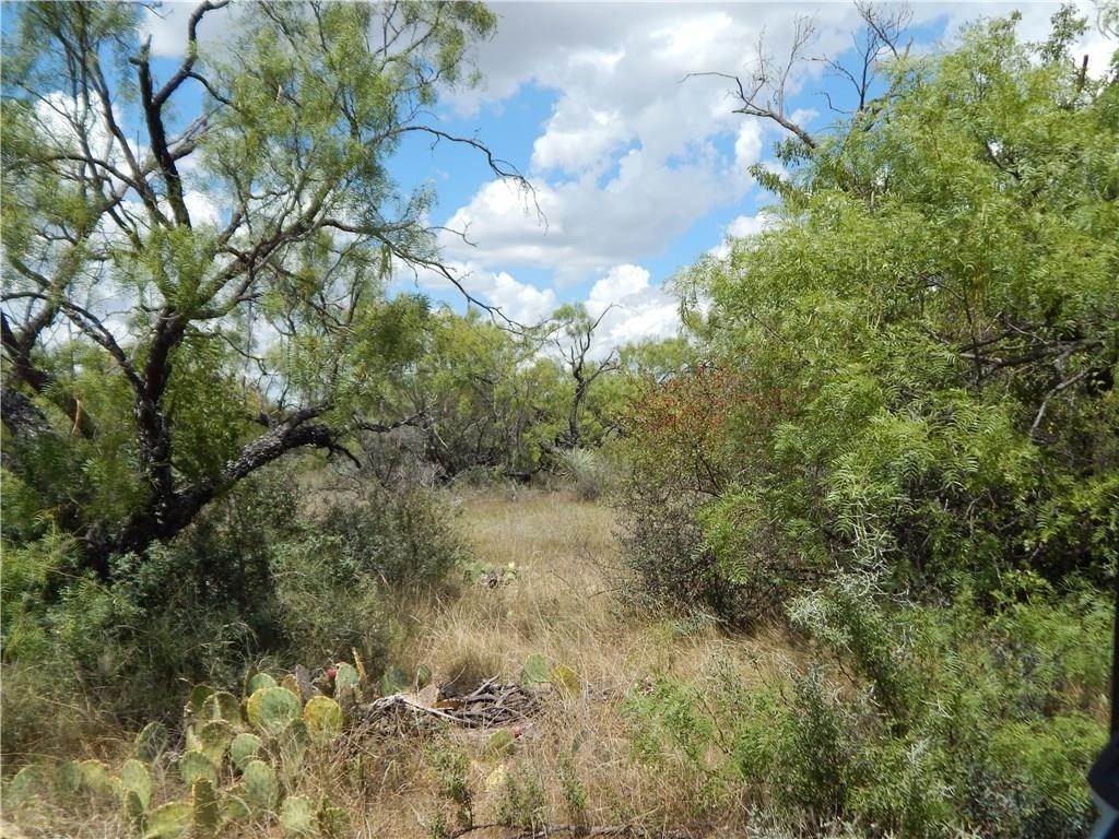 8. Ranch for Sale at Lohn, TX 76852