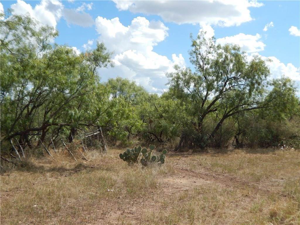 15. Ranch for Sale at Lohn, TX 76852
