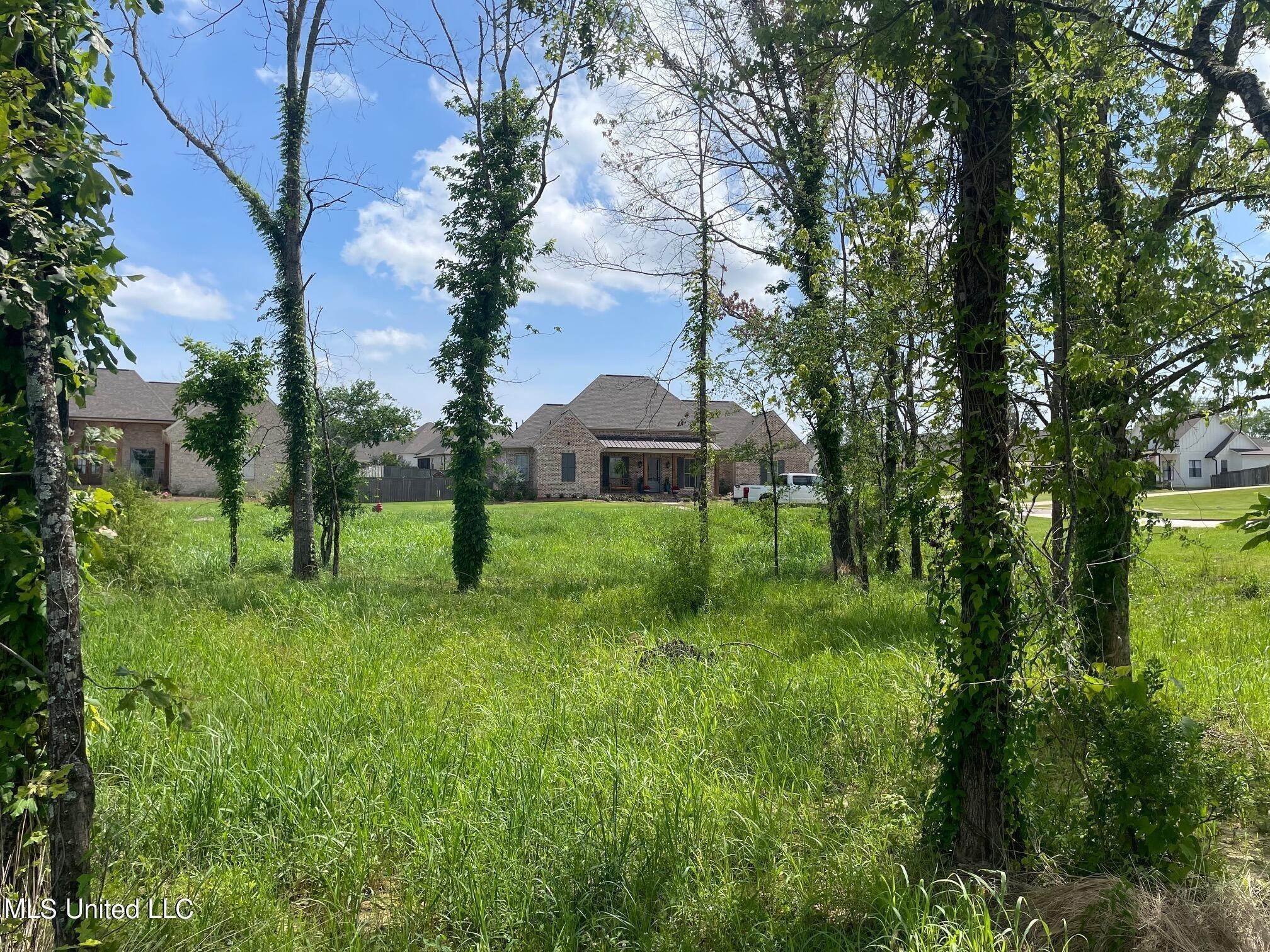 2. Land for Sale at Madison, MS 39110