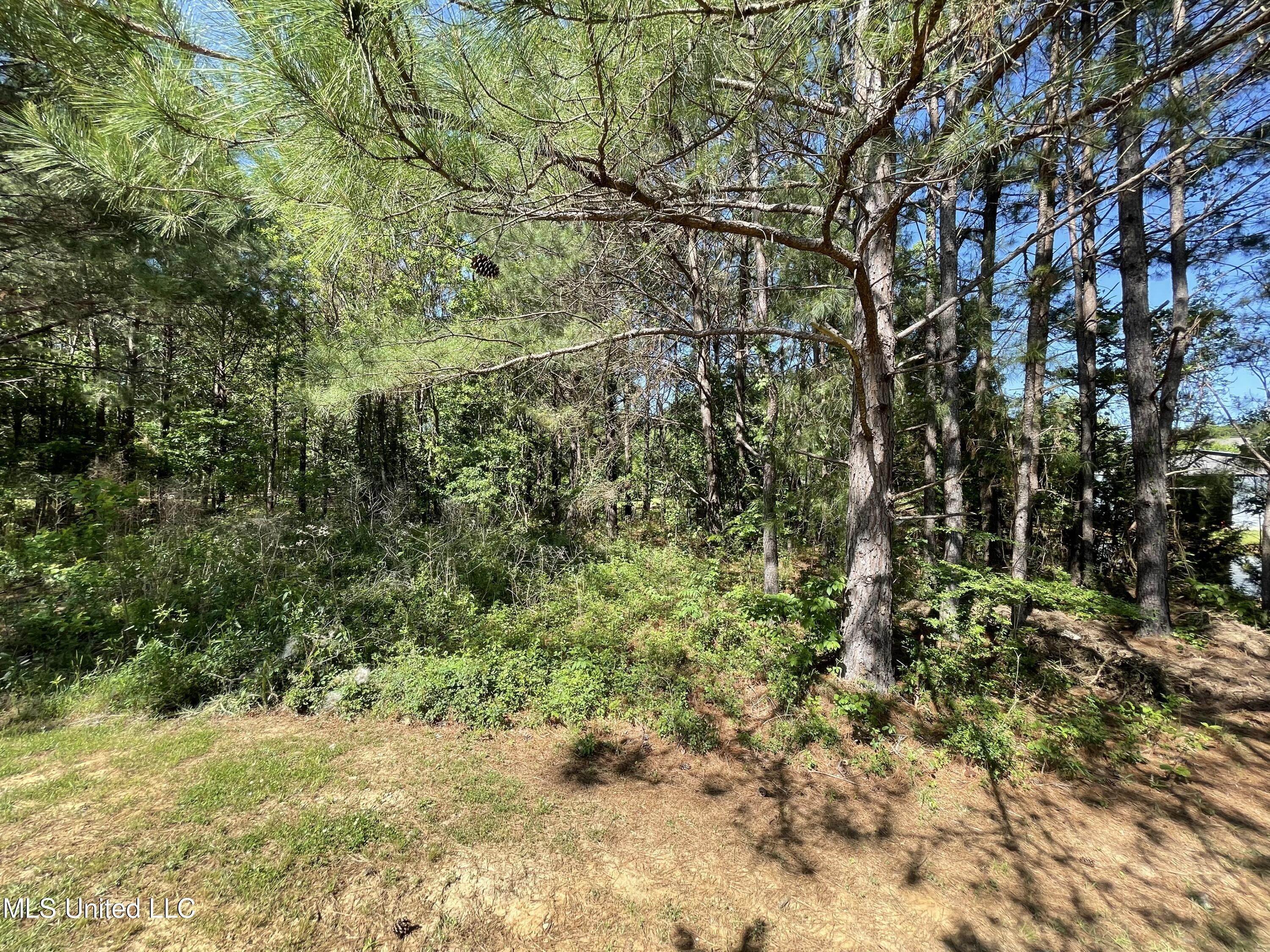 12. Land for Sale at Madison, MS 39110