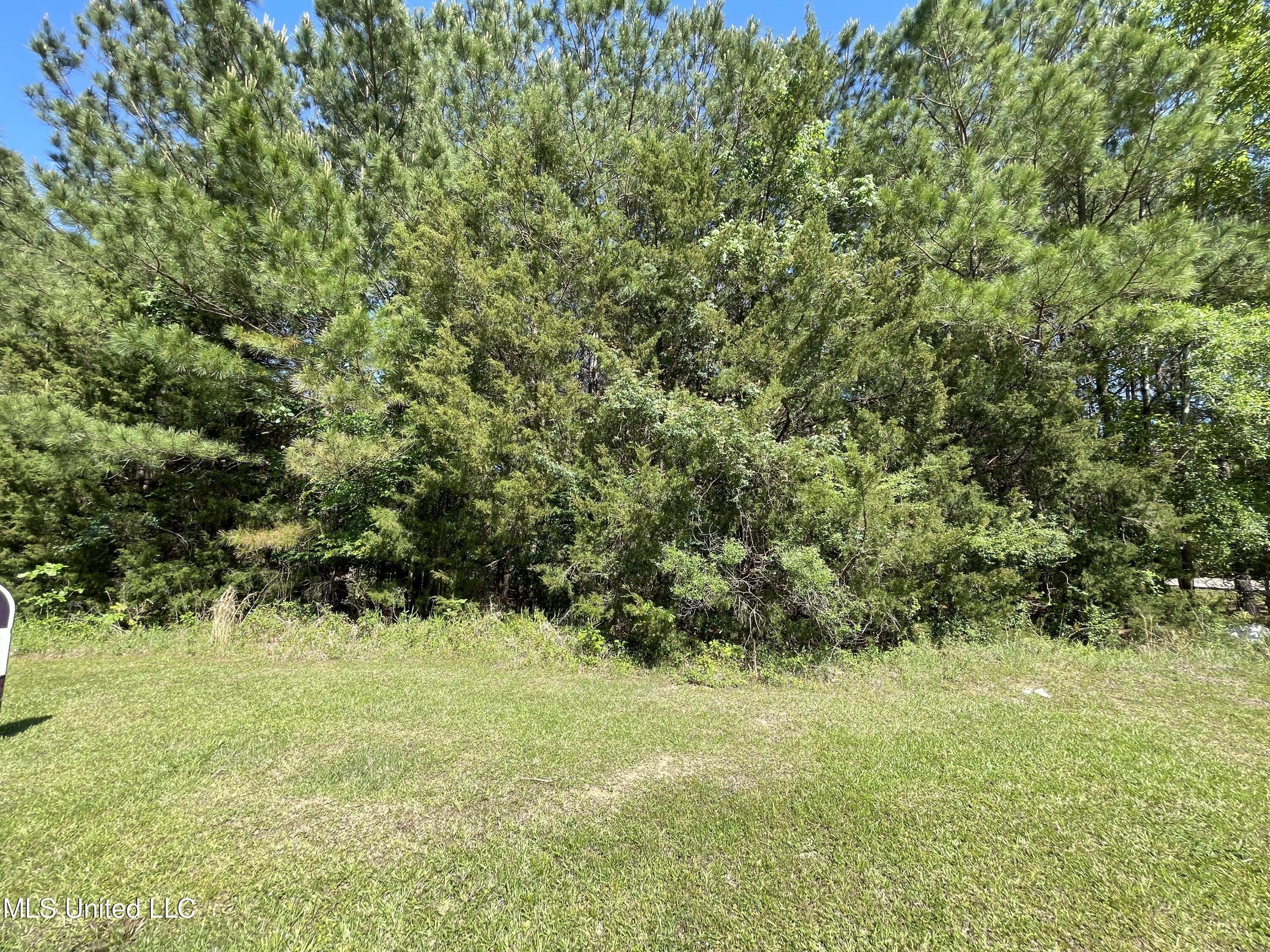 9. Land for Sale at Madison, MS 39110