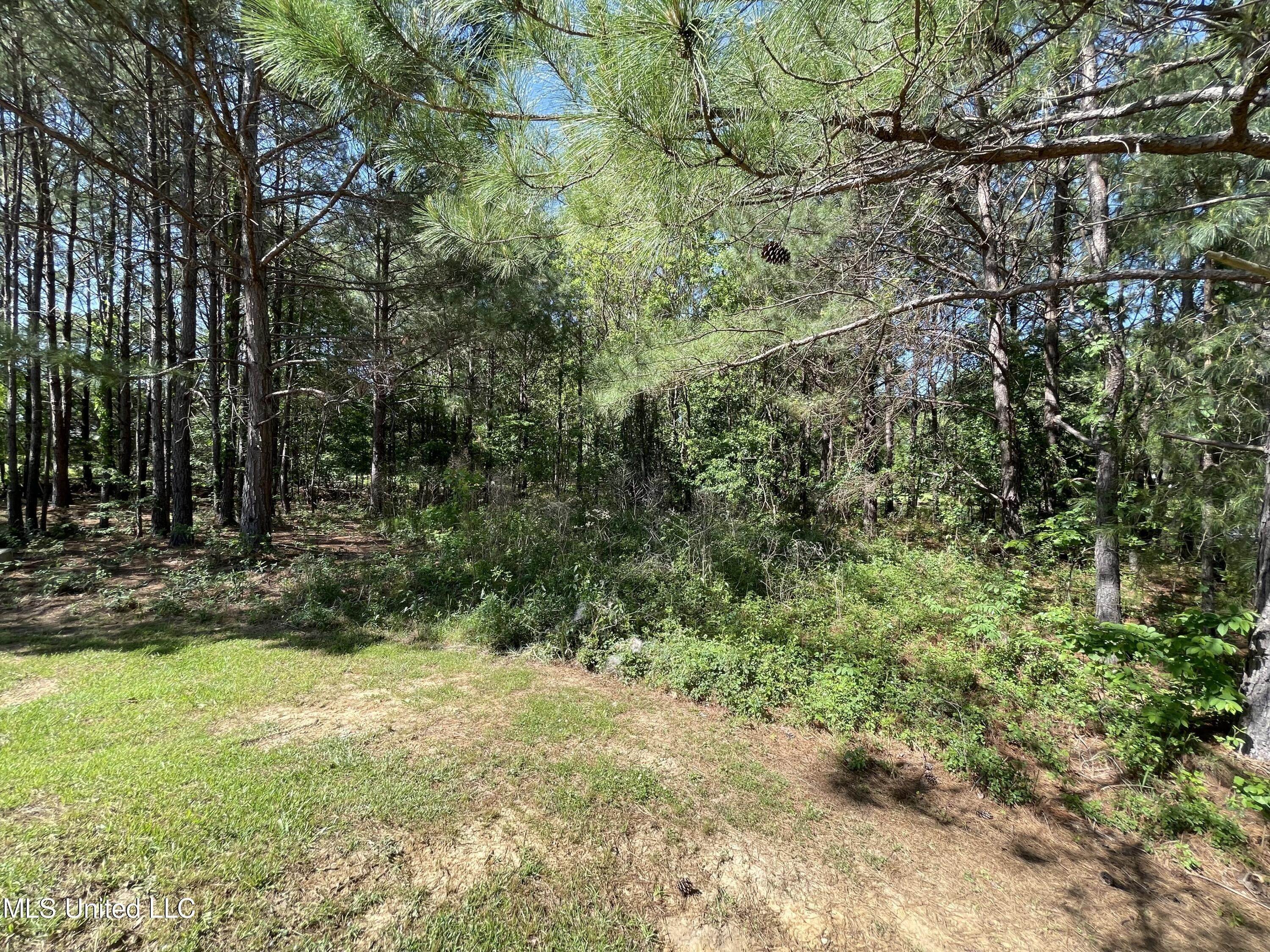 13. Land for Sale at Madison, MS 39110
