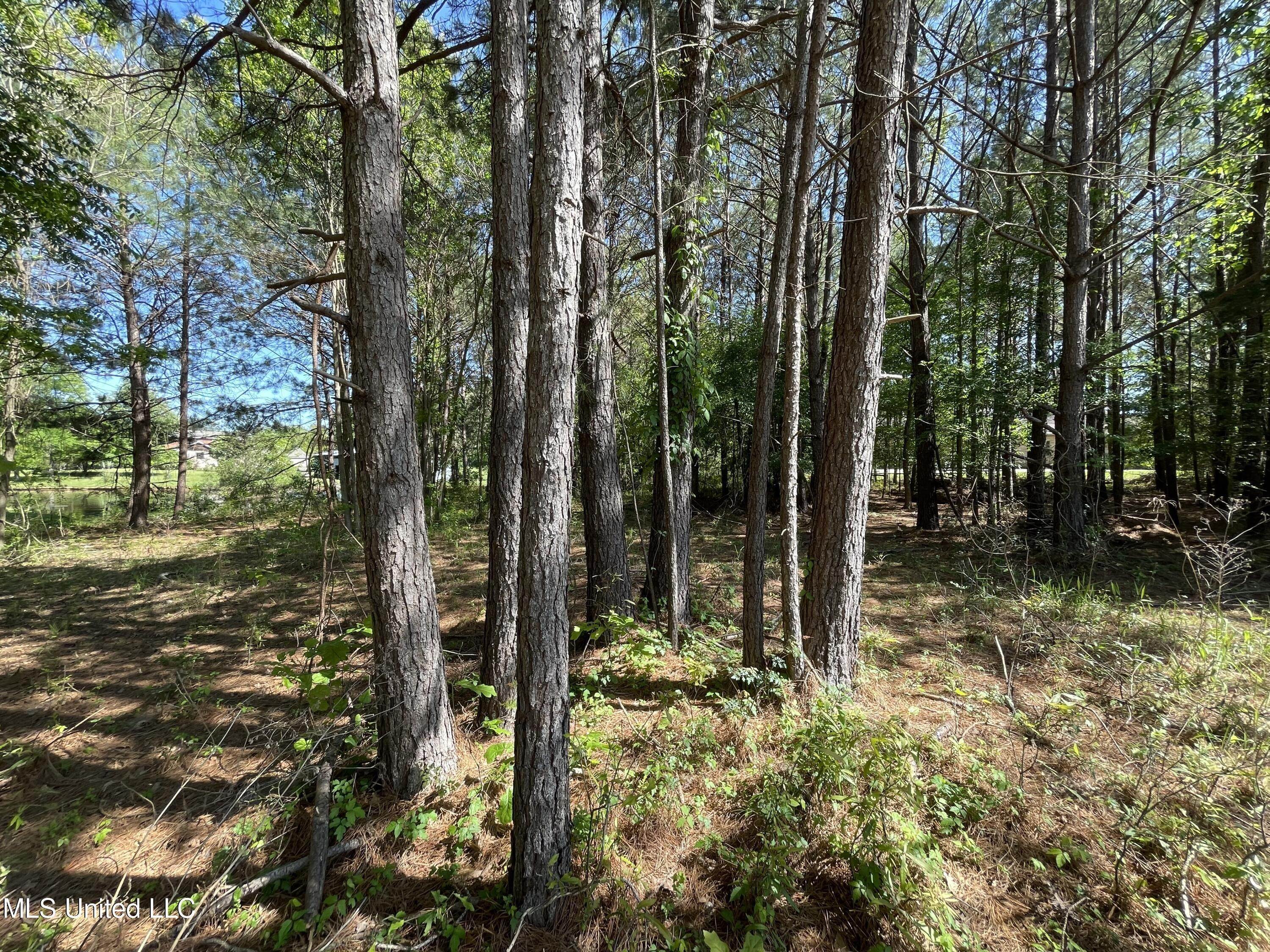 6. Land for Sale at Madison, MS 39110