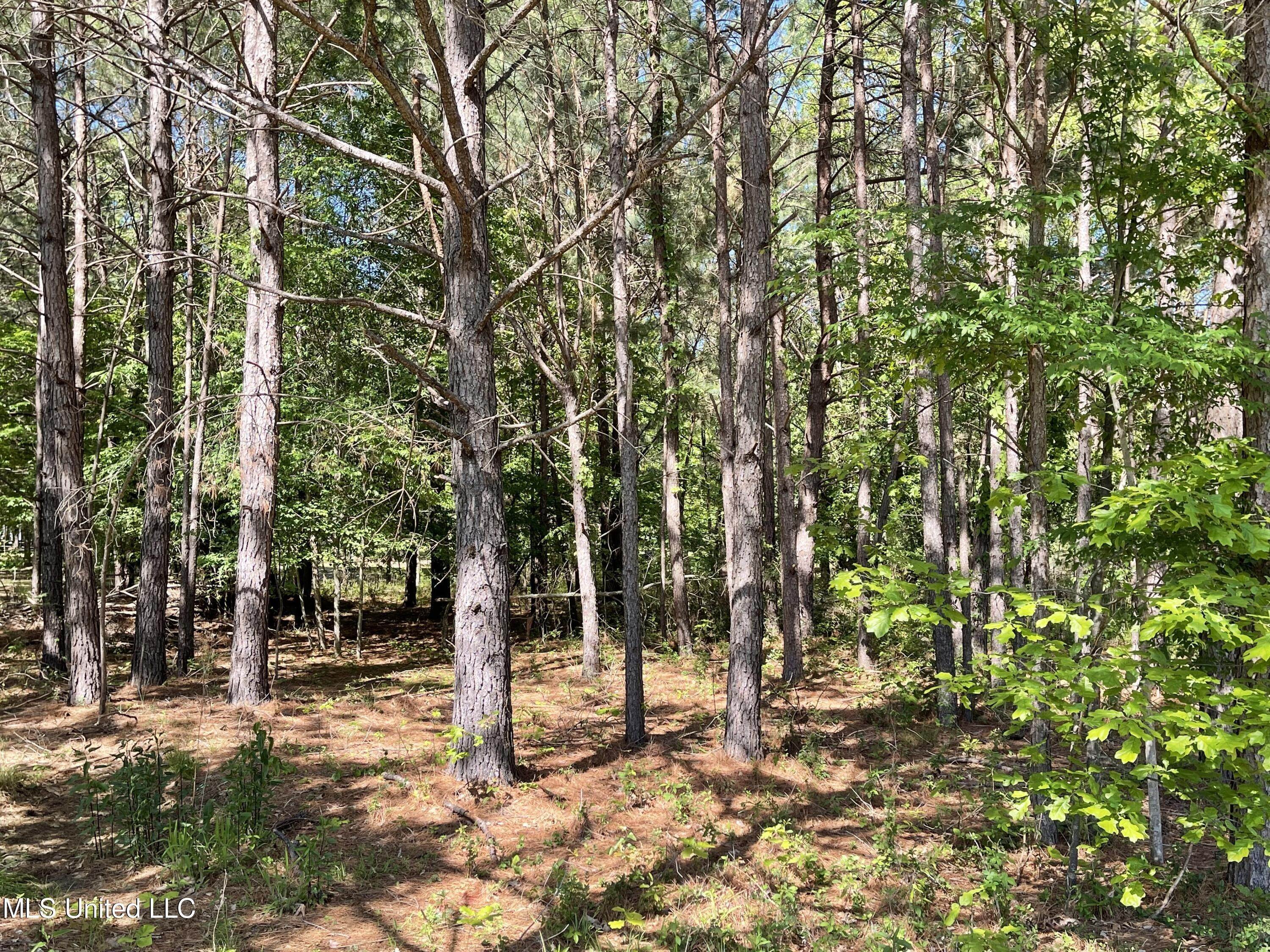 10. Land for Sale at Madison, MS 39110
