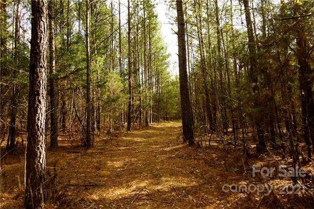 3. Land for Sale at Chester, SC 29706
