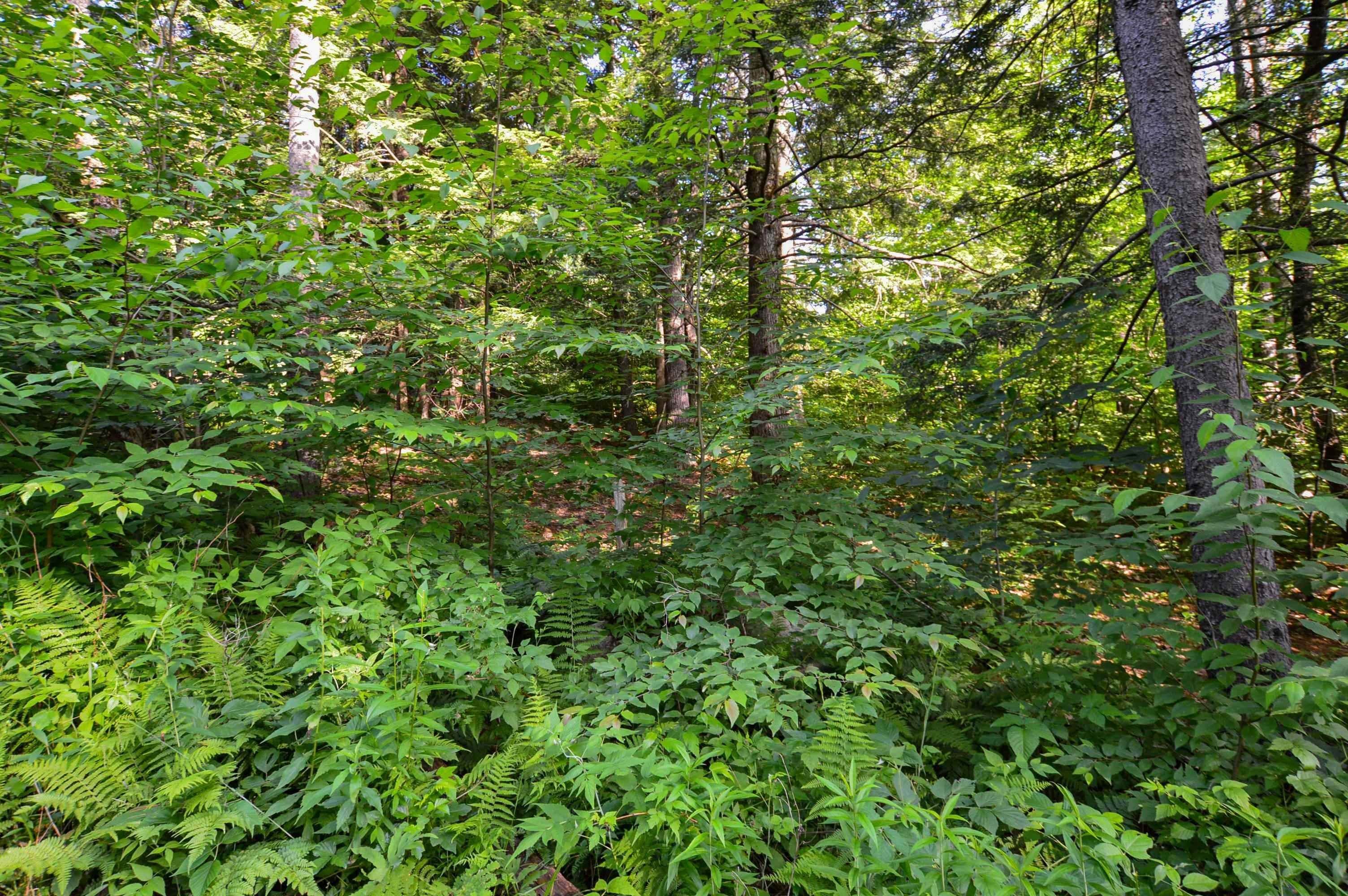 12. Land for Sale at Chester, VT 05143