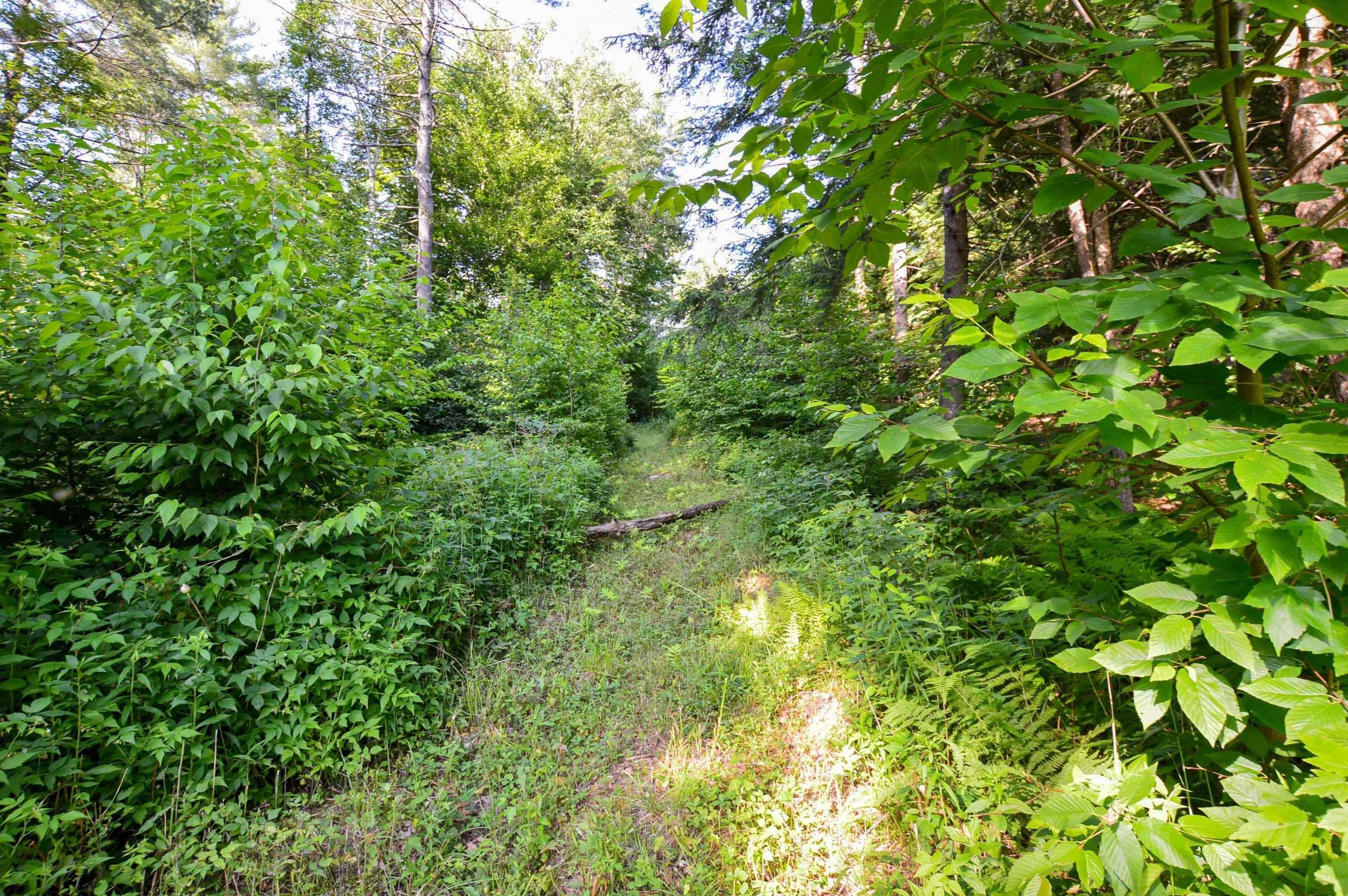11. Land for Sale at Chester, VT 05143