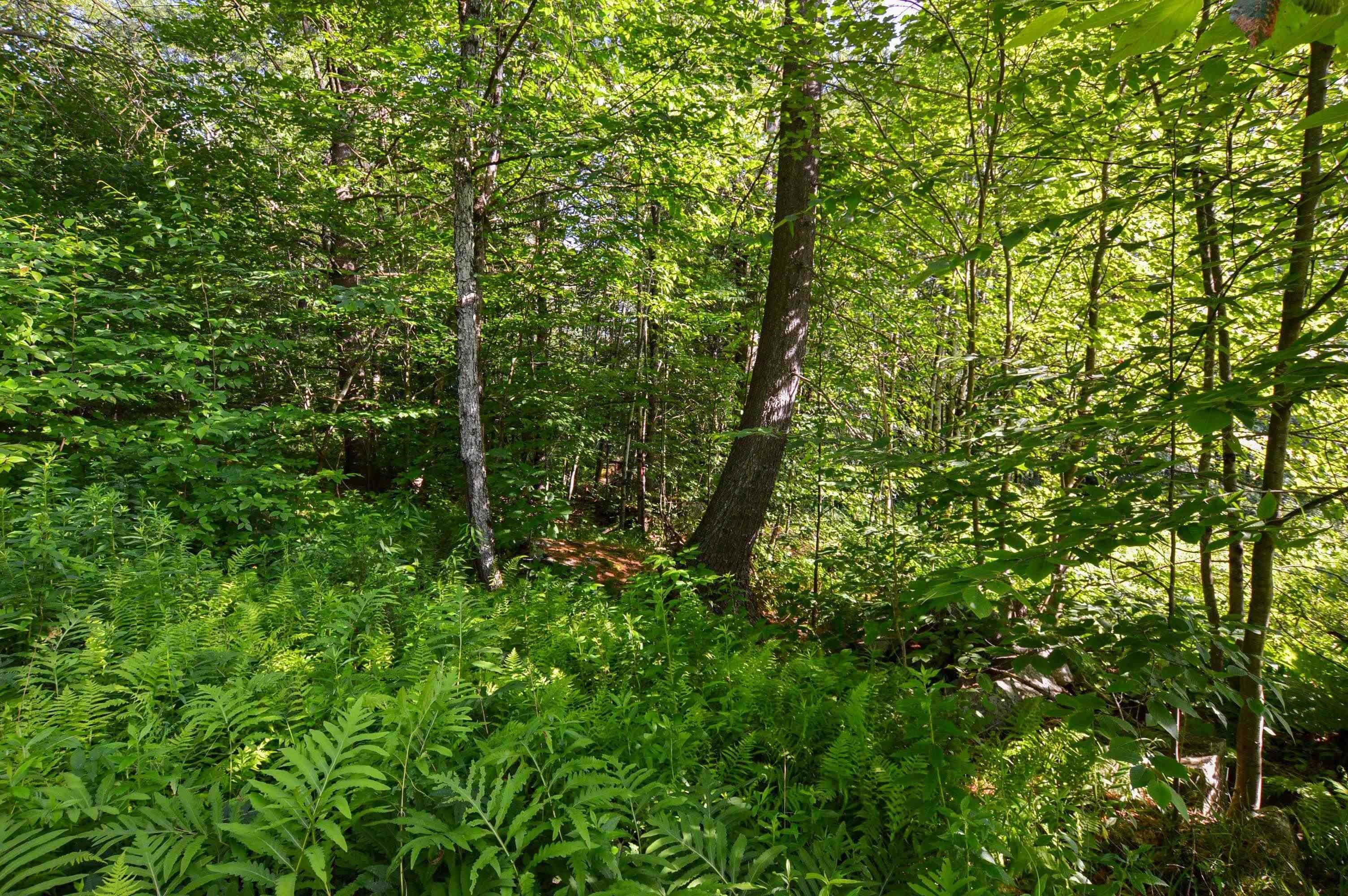 9. Land for Sale at Chester, VT 05143