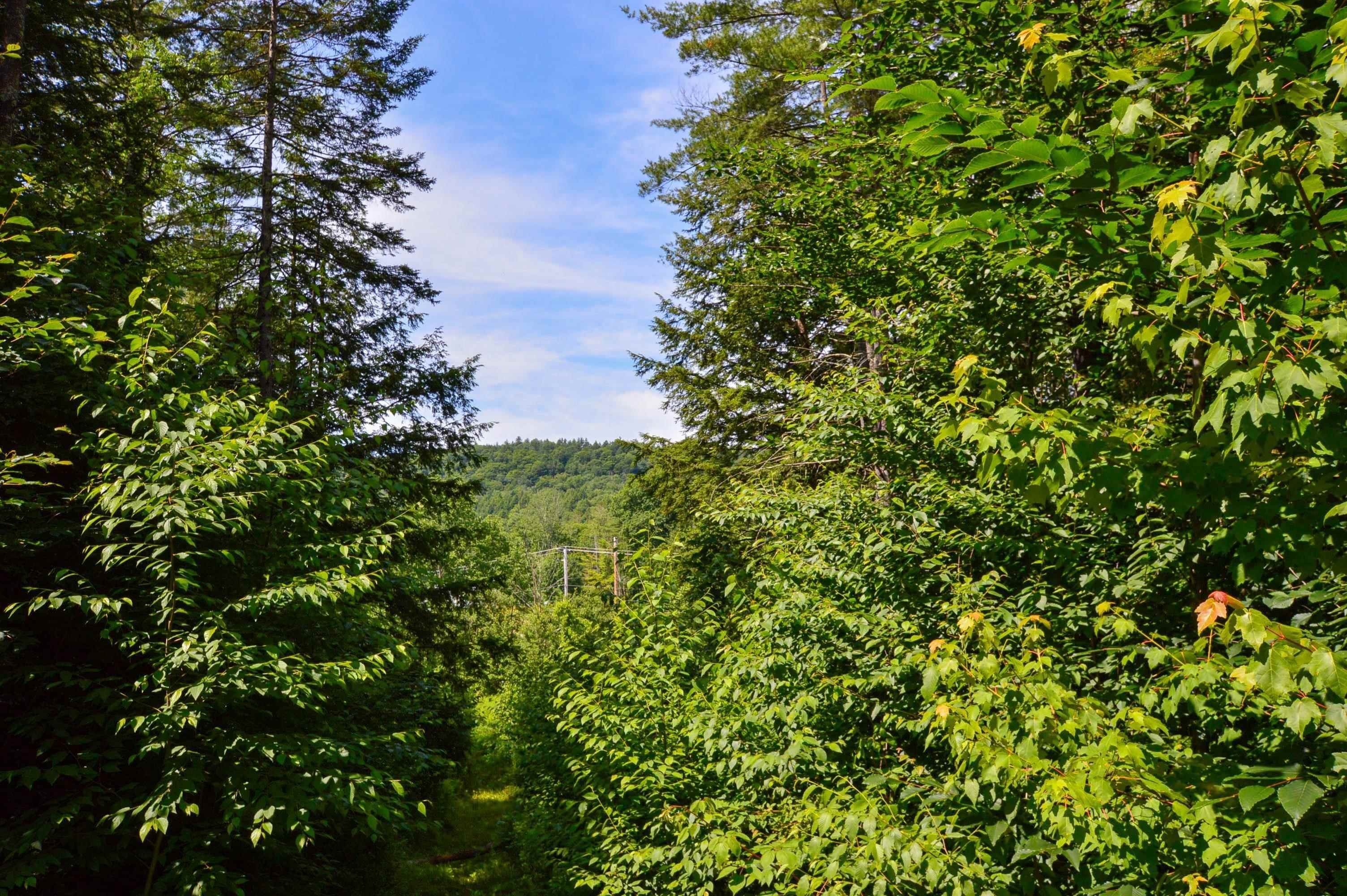 28. Land for Sale at Chester, VT 05143