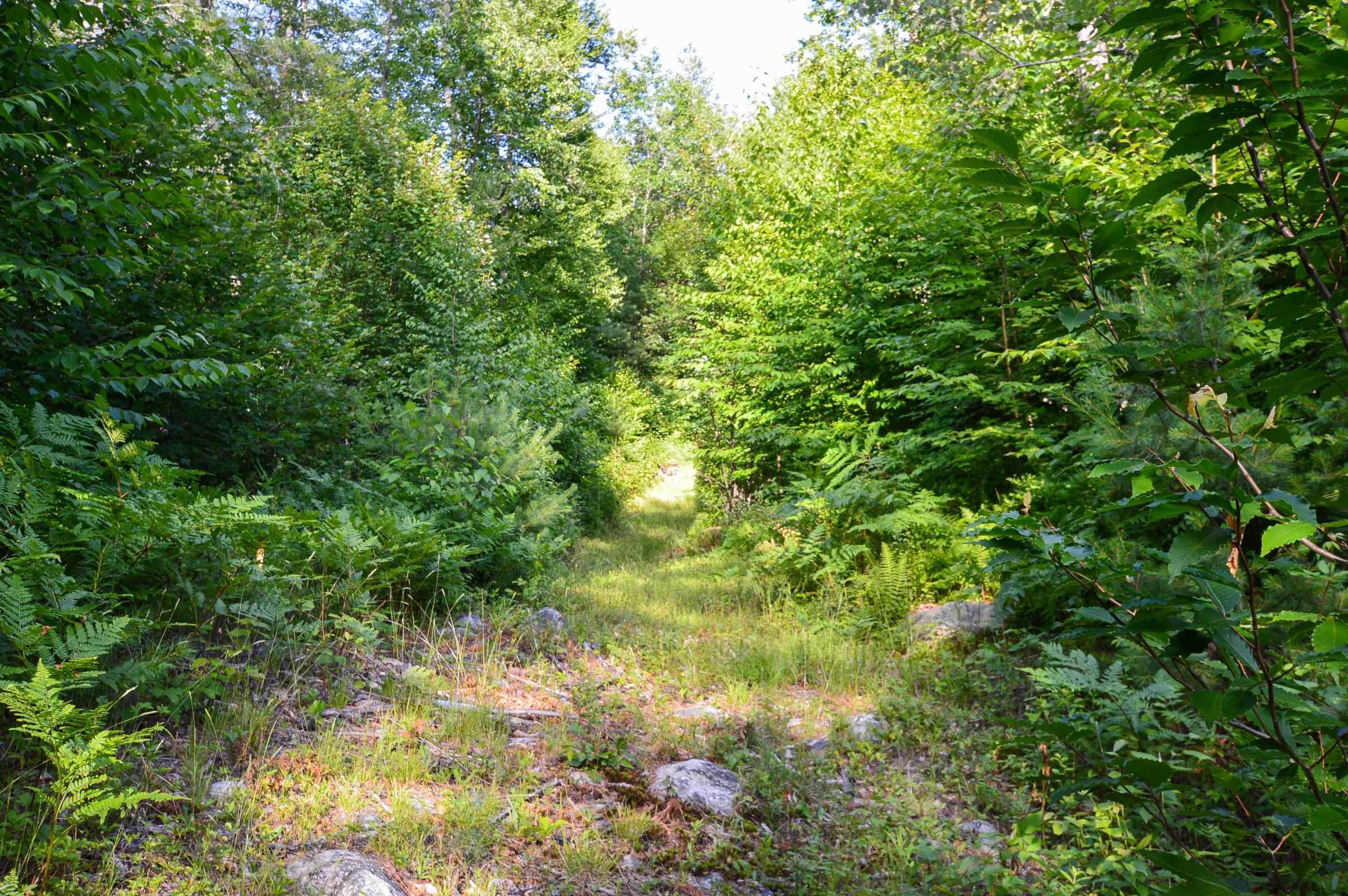 14. Land for Sale at Chester, VT 05143