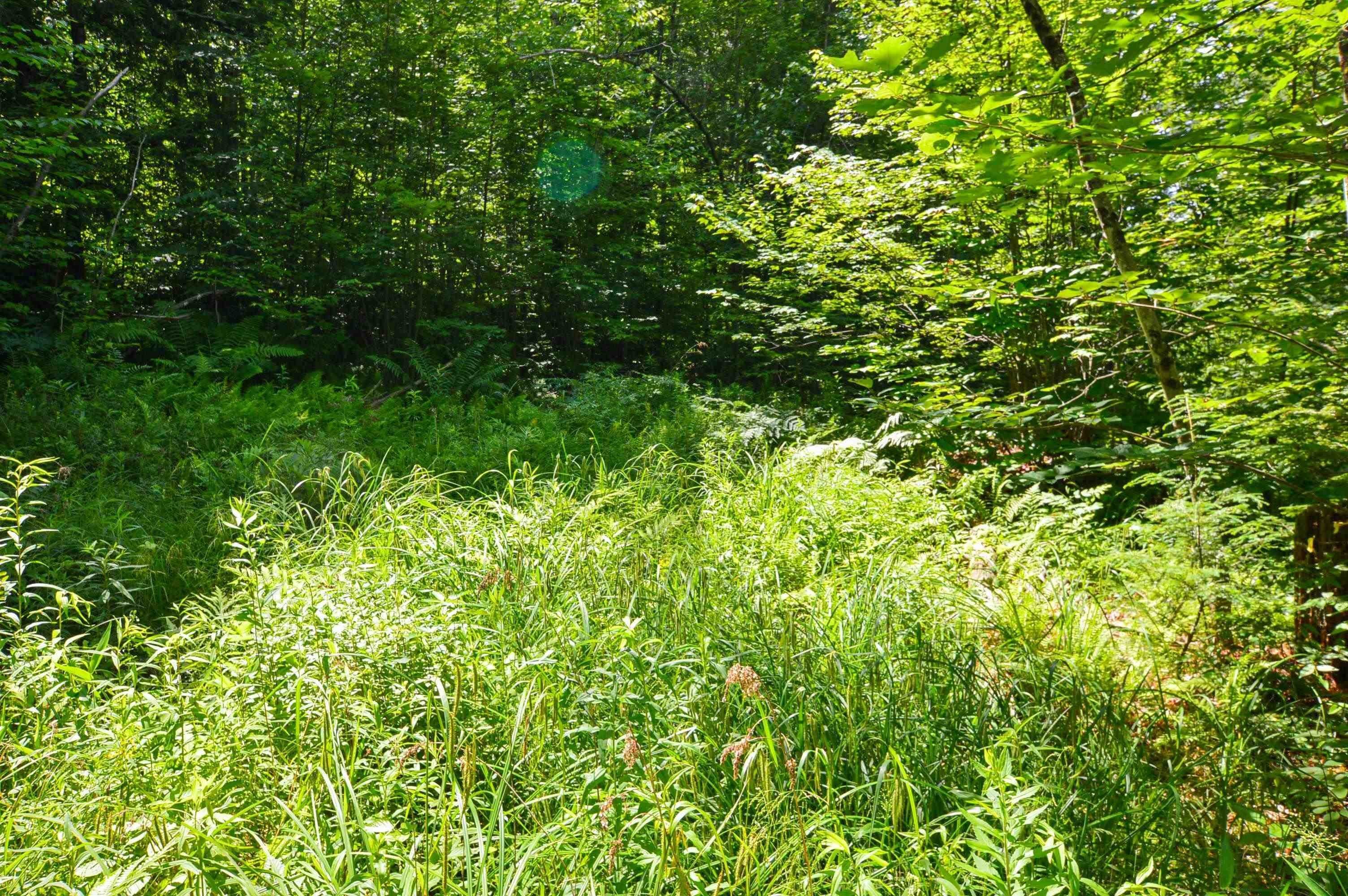 24. Land for Sale at Chester, VT 05143