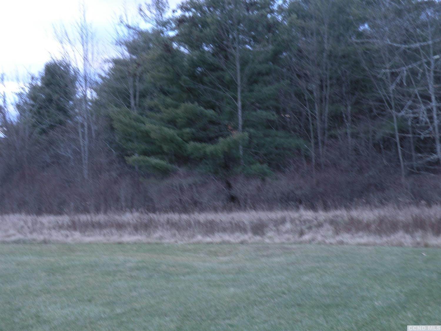 12. Land for Sale at Greenville, NY 12083