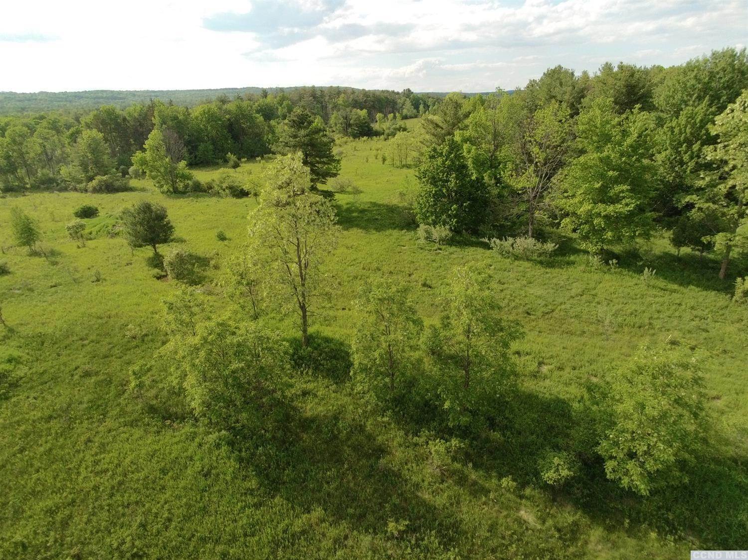 4. Land for Sale at Greenville, NY 12083