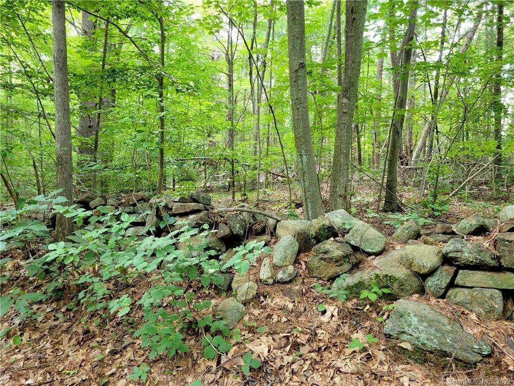 Land for Sale at Madison, CT 06443
