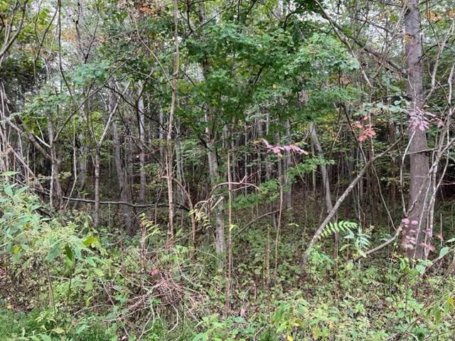 5. Land for Sale at Monroe, TN 38573