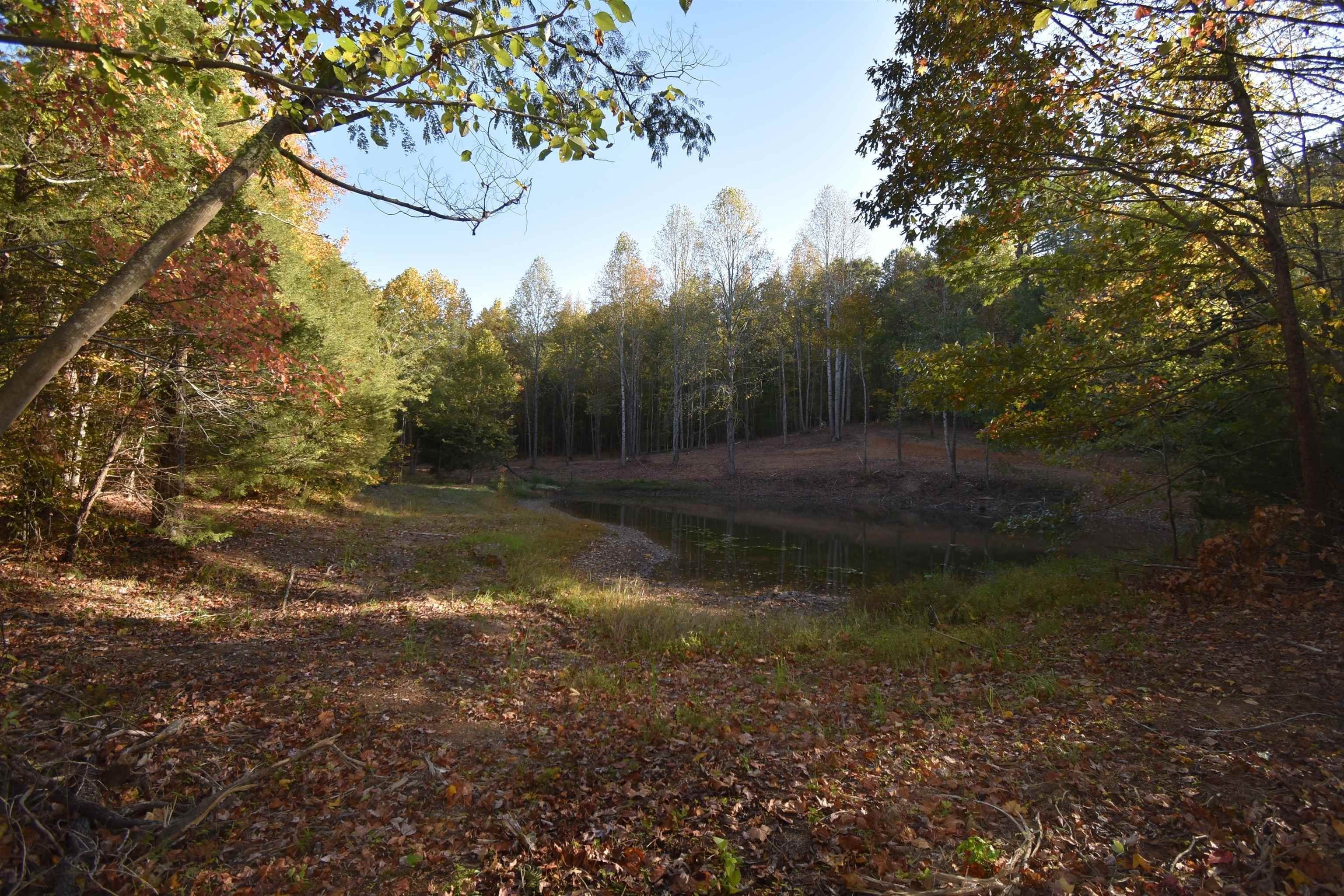 2. Land for Sale at Clifton, TN 38425
