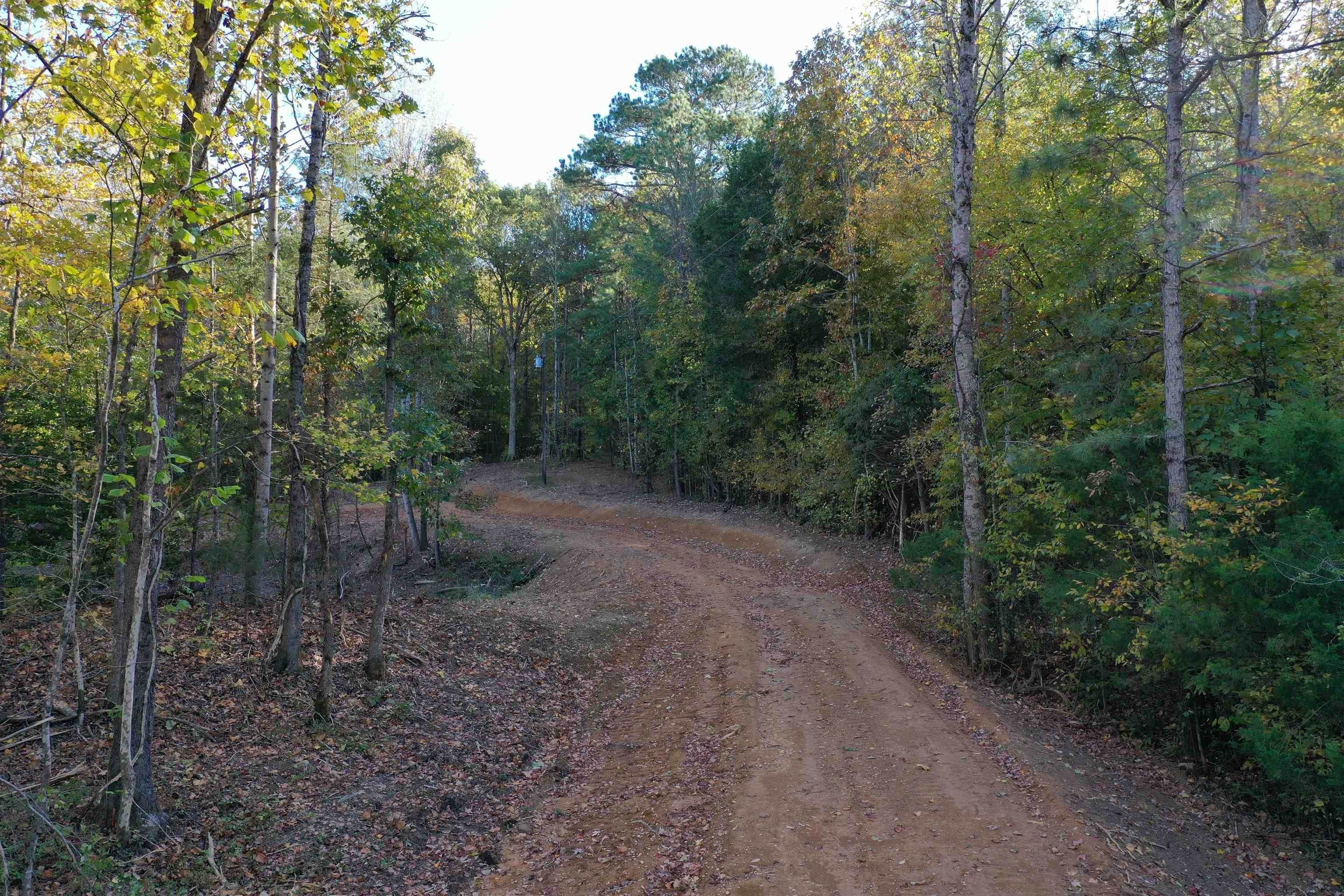 12. Land for Sale at Clifton, TN 38425
