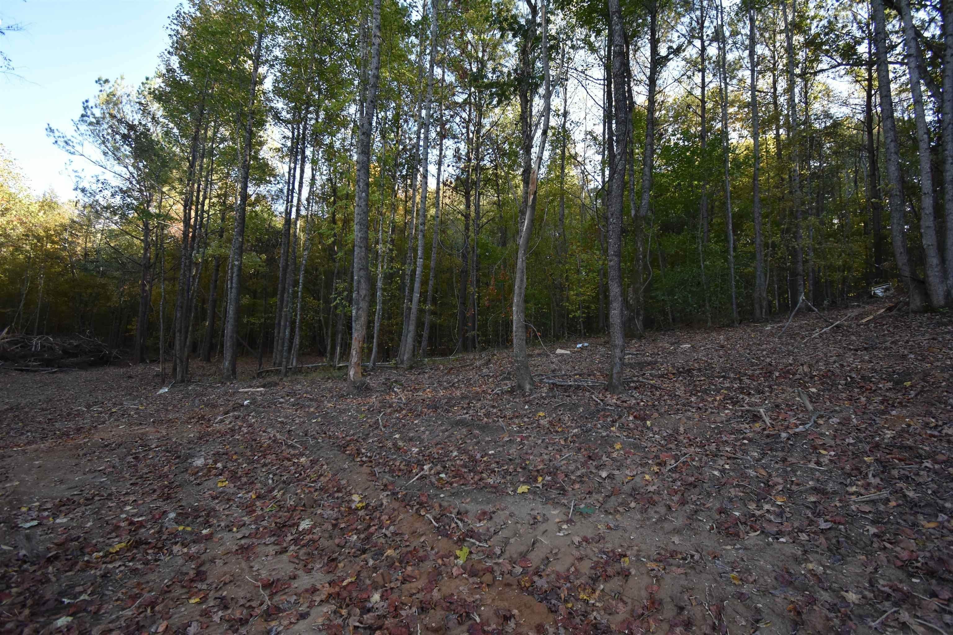7. Land for Sale at Clifton, TN 38425