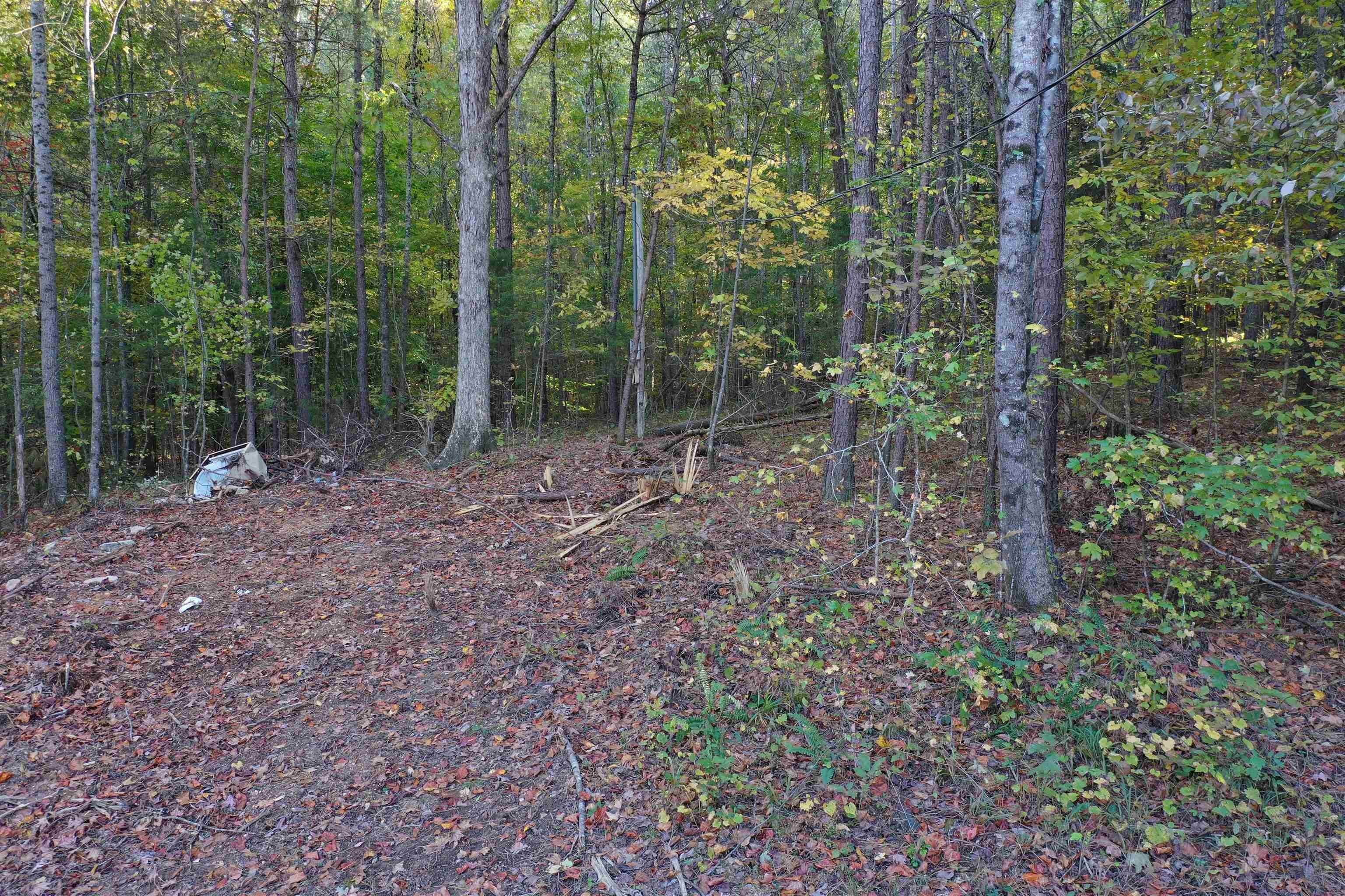 17. Land for Sale at Clifton, TN 38425