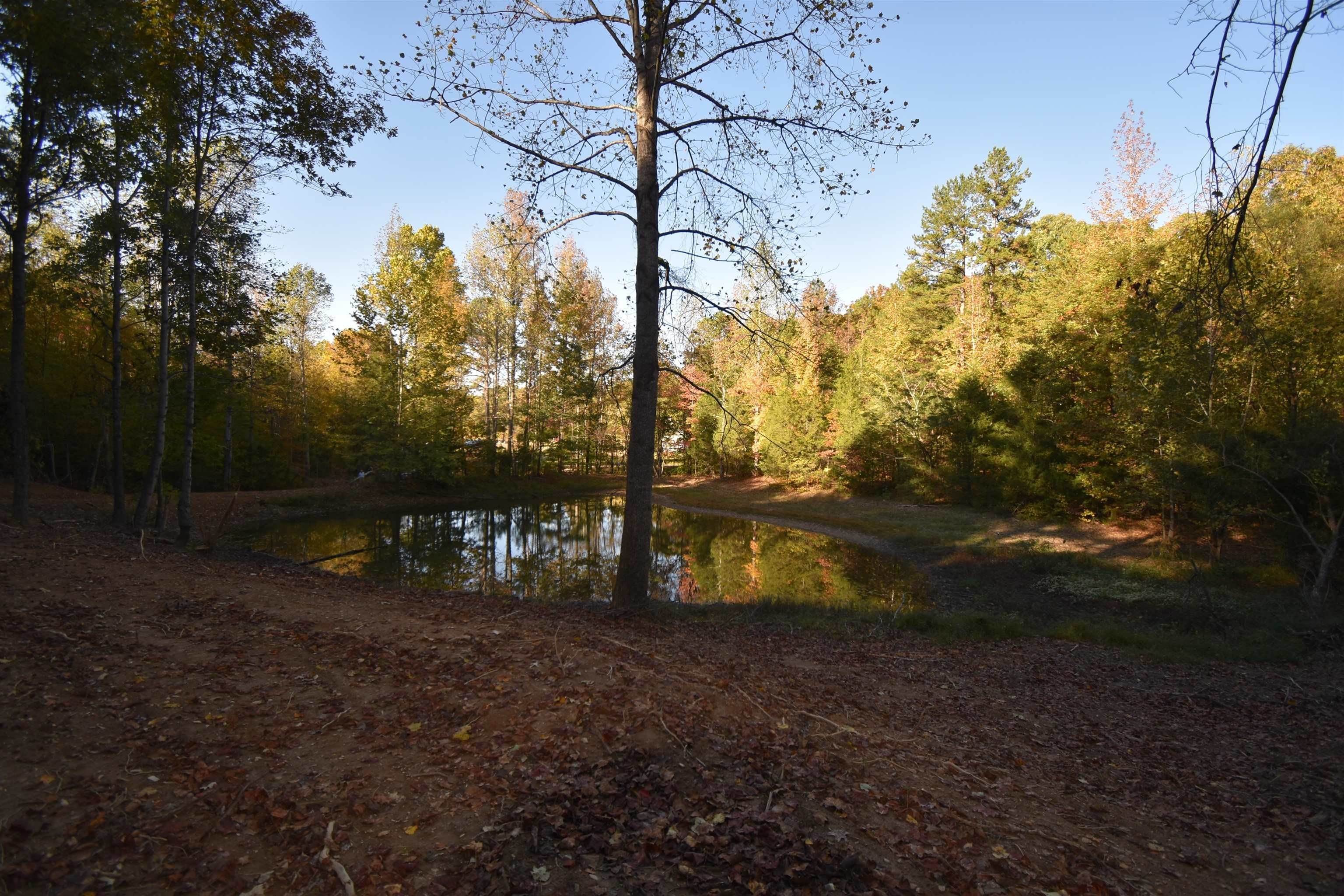 8. Land for Sale at Clifton, TN 38425