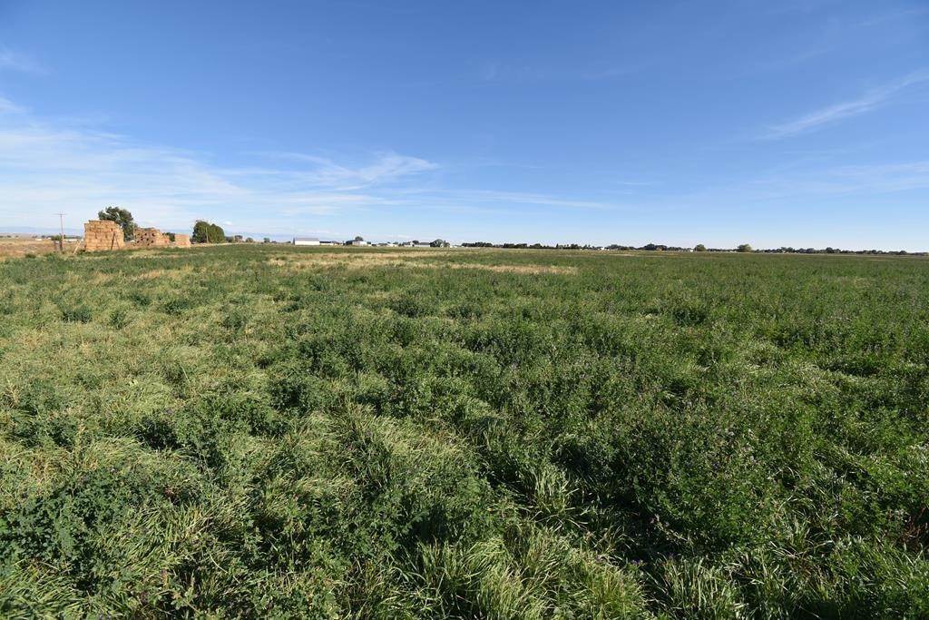 Land for Sale at Powell, WY 82435