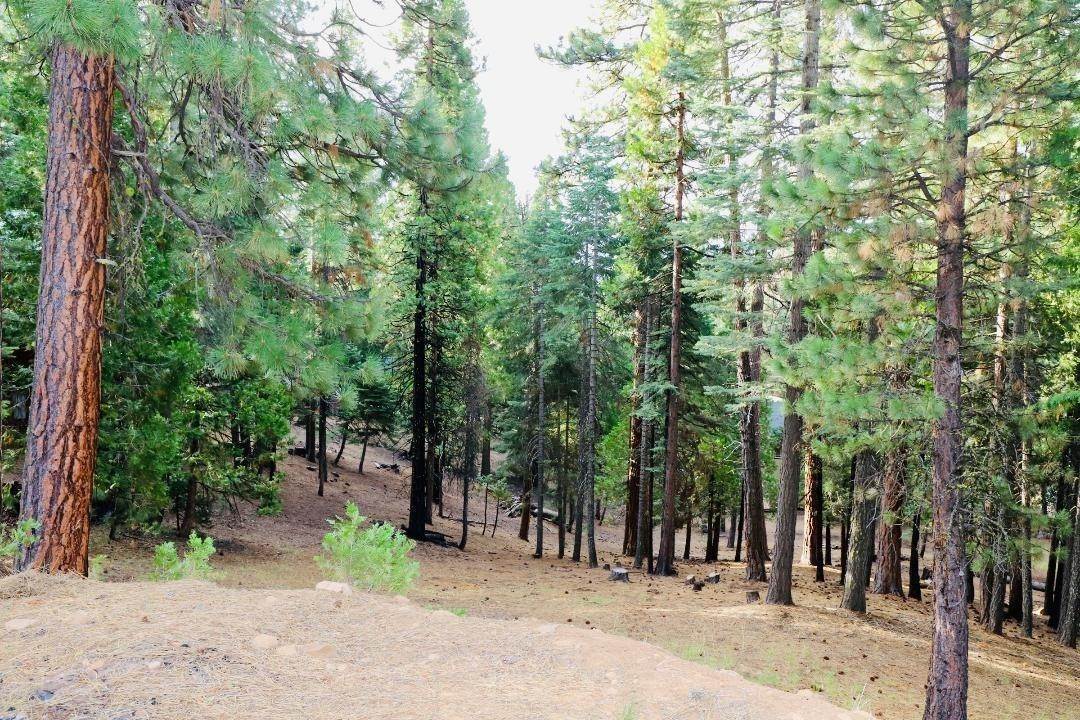 5. Land for Sale at Chester, CA 96020