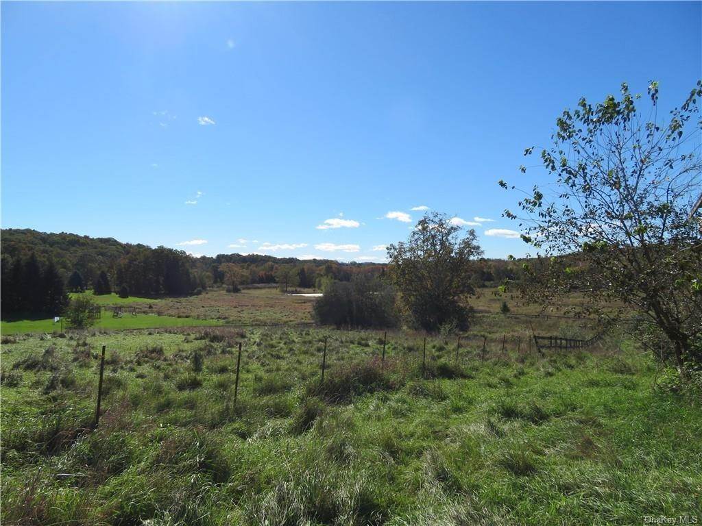 10. Land for Sale at Chester, NY 10918