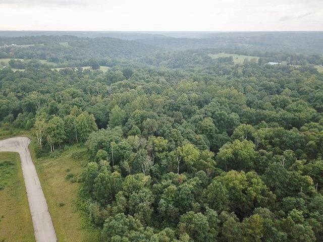 Land for Sale at Aurora, IN 47001