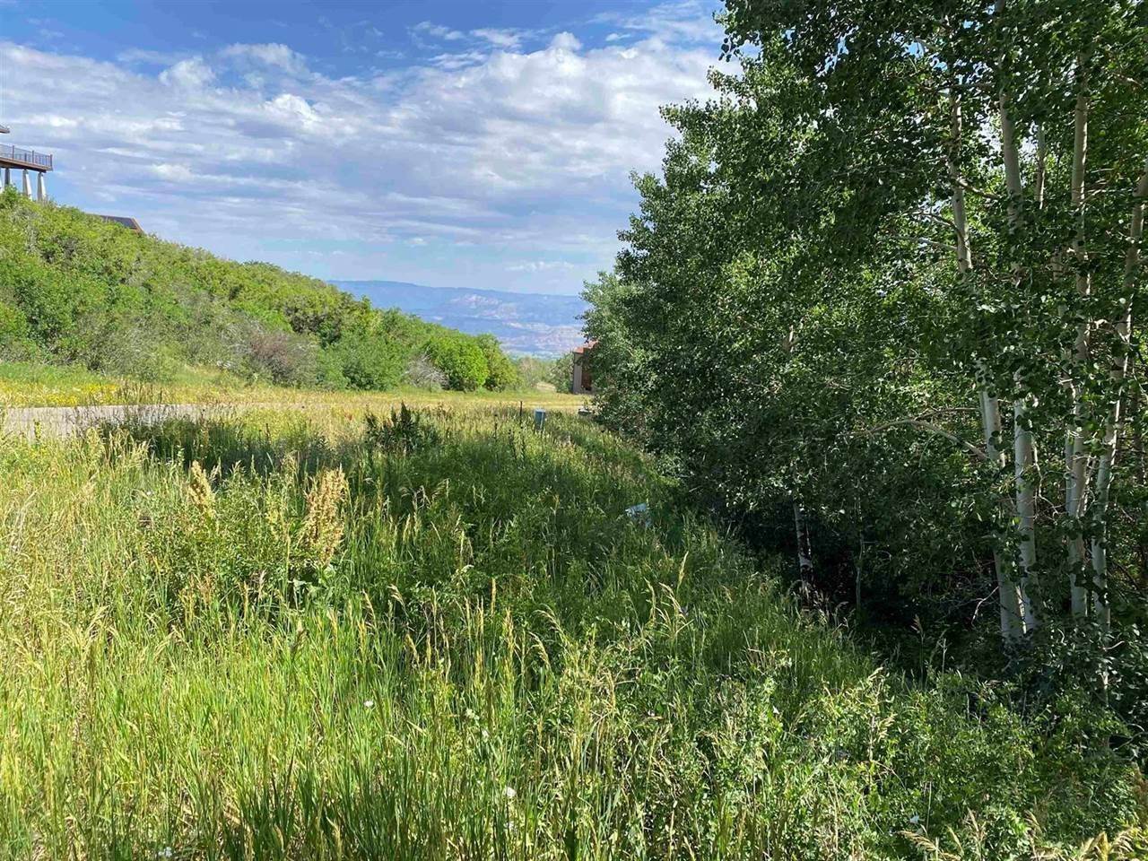 6. Land for Sale at Mesa, CO 81643