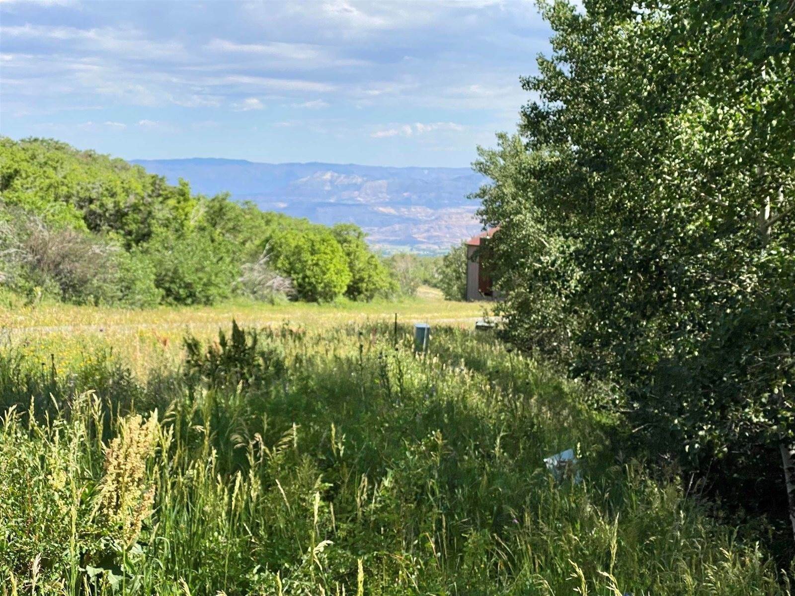 Land for Sale at Mesa, CO 81643