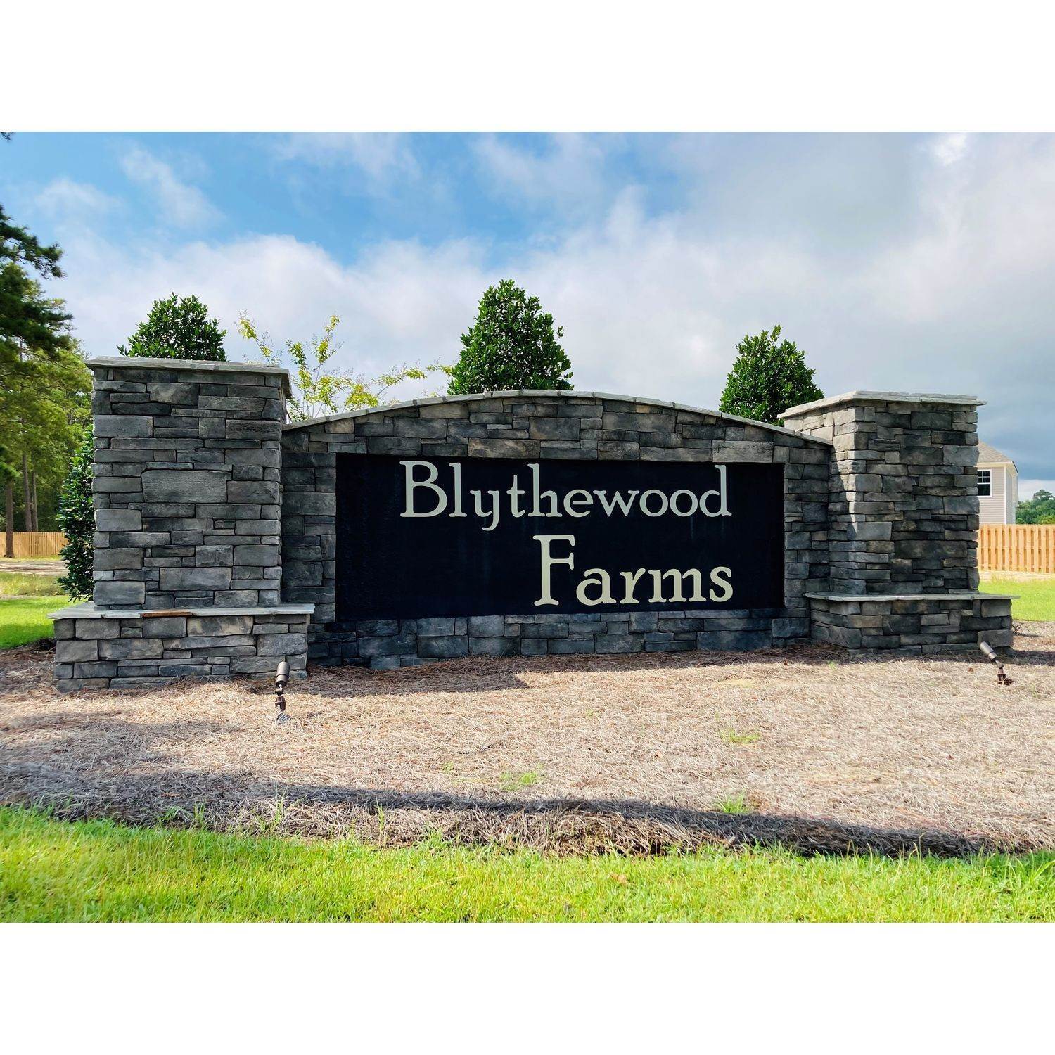 2. Blythewood Farms建于 1104 Deep Creek Road, Blythewood, SC 29016
