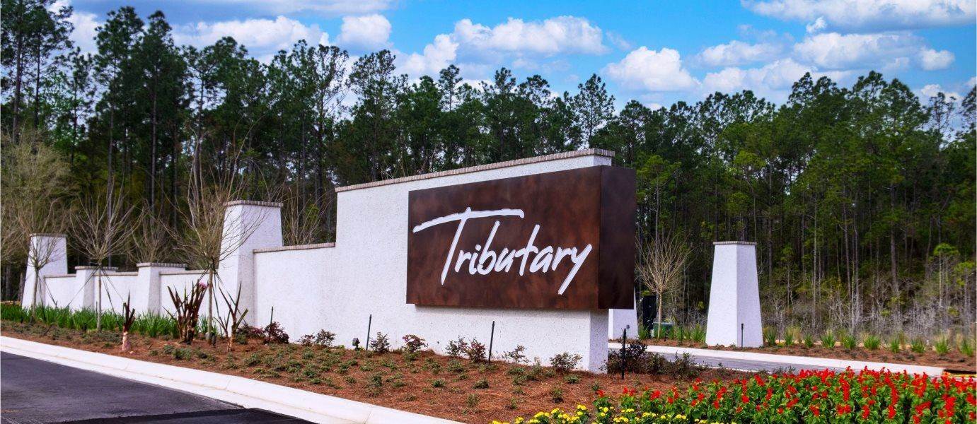 Tributary - Lakeview at Tributary 50's edificio en 75725 Lily Pond Ct, Yulee, FL 32097